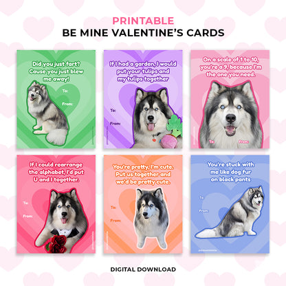 Valentine's Day Cards - Bundle 2 (4 Sets)