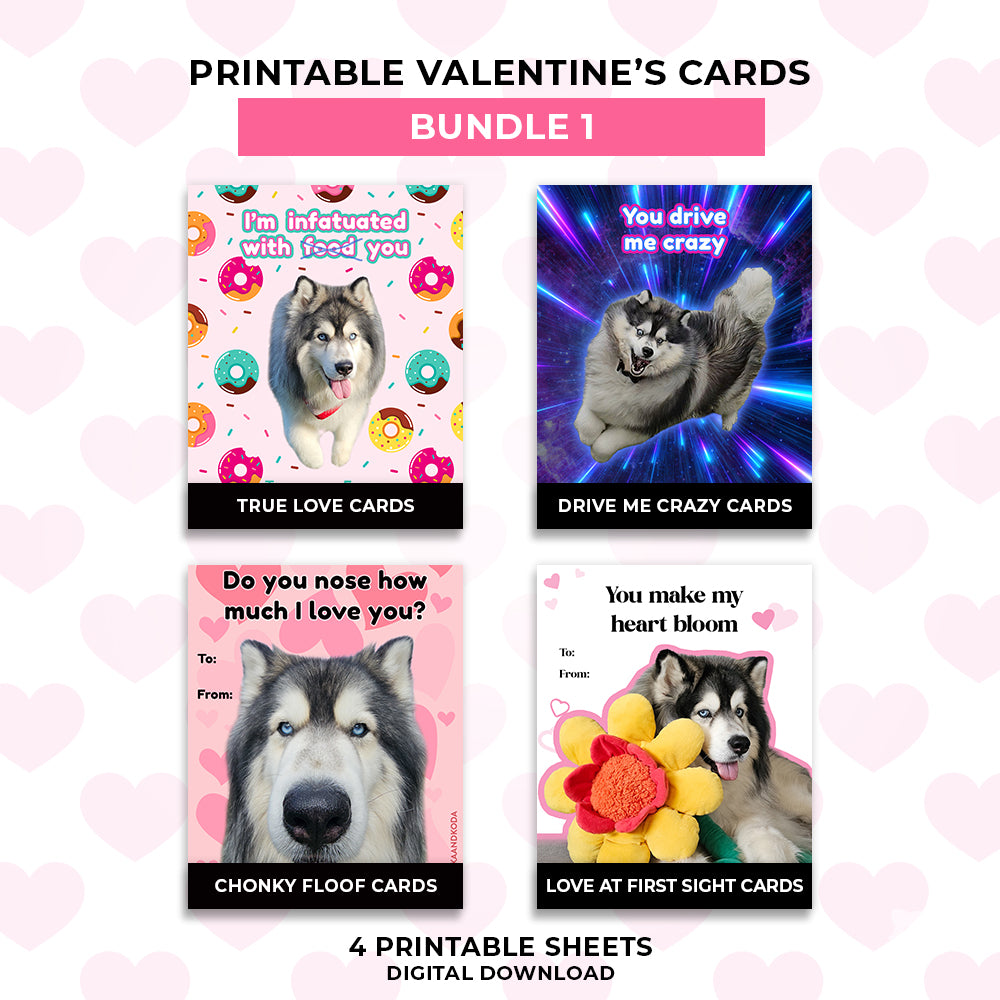 Valentine's Day Cards - Bundle 1 (4 Sets)