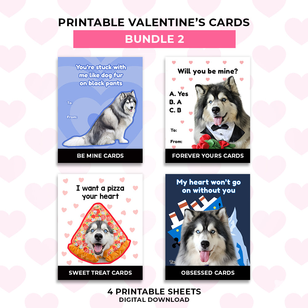 Valentine's Day Cards - Bundle 2 (4 Sets)