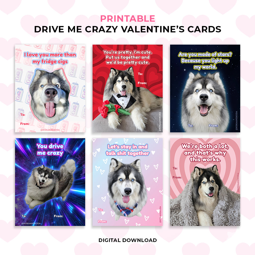 Valentine's Day Cards - Bundle 1 (4 Sets)