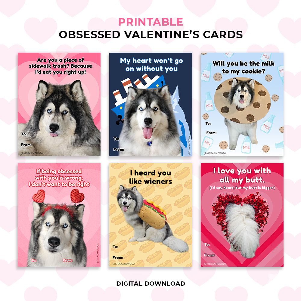 Valentine's Day Cards - Bundle 2 (4 Sets)