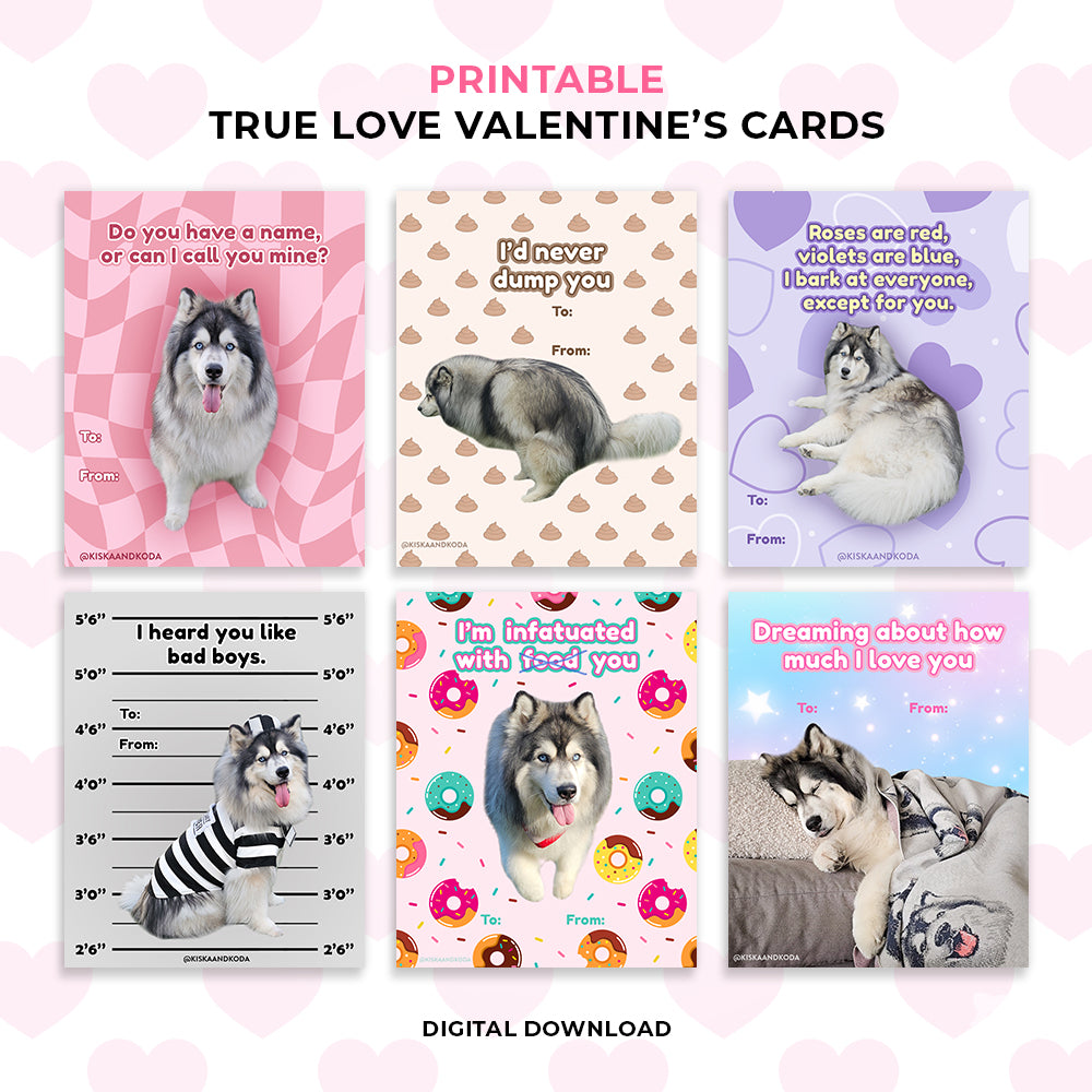 Valentine's Day Cards - Bundle 1 (4 Sets)